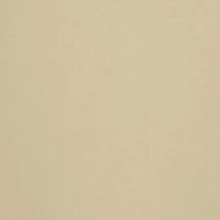 Дуб Шампань