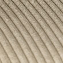 Бежевый вельвет (LAR-E2041-04)