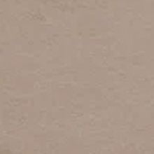 Светло коричневый