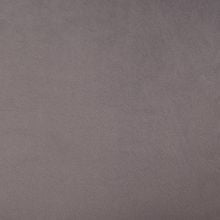 Светло-серый HLR19