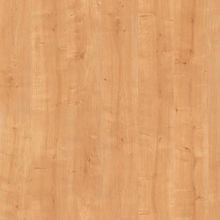 Дуб гамильтон