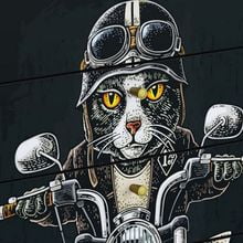 BIKER CAT