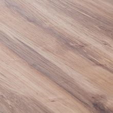 Береза Таксус