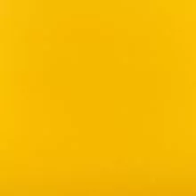 Горчичный Y-03