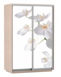 Шкаф-купе двухдверный Экспресс Дуо 1600х2400h Белая орхидея/Дуб молочный