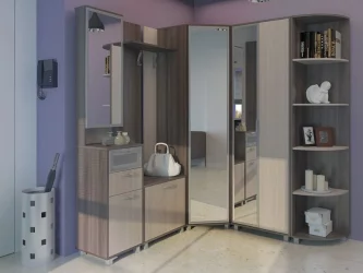 Прихожая WEST Комлпект № 3_Ясень шимо темн/ясень шимо св