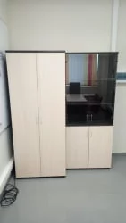 Двери прозрачные (без рамки) Пр.ДШ-2СБ