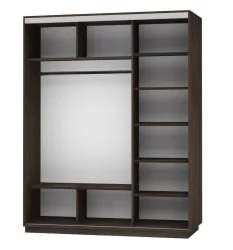 Шкаф-купе трехдверный Экспресс Трио Элемент 1800х2200h Дуб венге