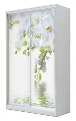 Шкаф-купе с фотопечатью Хит-24-12-77 Орхидея Белая шагрень