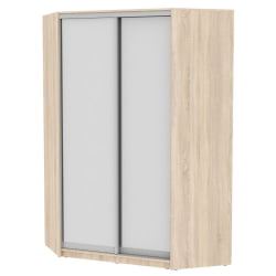 Шкаф-купе YA-230х1400-718-3(ДСС-D5D5)