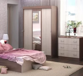 Шкаф в прихожую Басса ШКК 551 (ясень шимо темный/светлый)