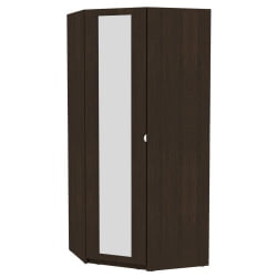 Шкаф распашный YR-230х1034-TR-M(Венге-5)