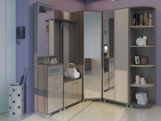 Шкаф в прихожую Модуль 8 Ясень шимо темн/Ясень шимо св.