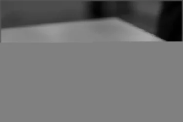 Двустворчатый гардеробный шкаф Хит-23-12-77 Орхидея Ясень шимо светлый