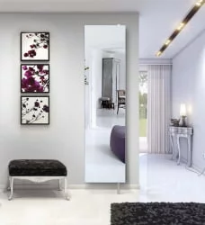 Шкаф в прихожую Драйв Шелф (правый) Венге