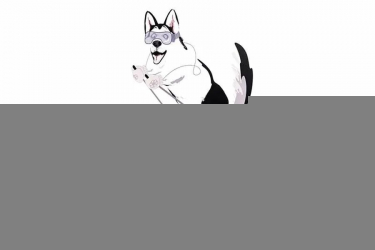 Детский шкаф для одежды Хаски 23 Дуб Ирландский Белый