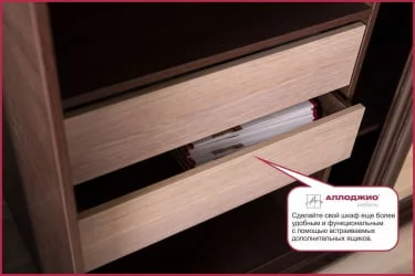 Шкаф купе 2-ух дверный Хит-24-12-77 Орхидея Ясень шимо темный