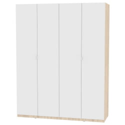 Шкаф распашный R-230х180х60-1-TR(ДСС-Белый)