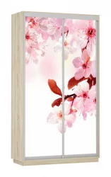 Шкаф-купе двухдверный Экспресс Хит Сакура/Дуб сонома