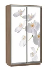 Шкаф-купе двухдверный Экспресс Дуо 1200х2400х Орхидея белая/Ясень шимо тёмный / 1200х2400h