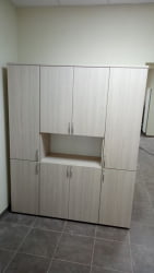 Шкаф высокий закрытый с нишей Glassy 6.19.111 Туя