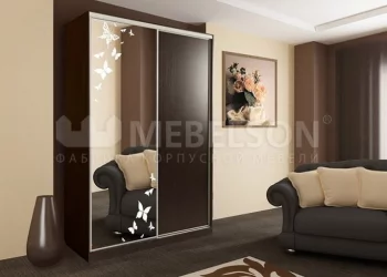 Шкаф-купе Рио 1-600 бабочки Венге