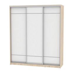 Шкаф-купе B-230х200х60-1(ДСС-Белый-D7D7D7)