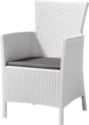 Стул Иова Белый / Iowa