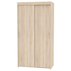 Шкаф-купе T-1-230х120х45(ДСС-1)