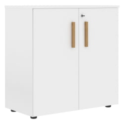 Шкаф с глухими малыми дверьми Forta FLC 80.1(Z) Белый премиум