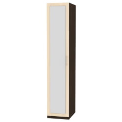 Шкаф распашный R-230х45х45-2-M(Венге-ДМ)