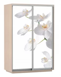 Шкаф-купе двухдверный Экспресс Дуо 1400х2200h Белая орхидея/Дуб молочный