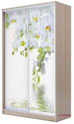 Шкаф-купе с фотопечатью Хит-24-14-77 Орхидея Ясень шимо светлый