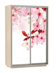 Шкаф-купе двухдверный Экспресс Дуо 1600х2400h Сакура/Ясень шимо светлый