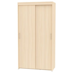 Шкаф-купе T-1-230х120х45(ДМ-1)