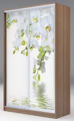 Шкаф-купе с фотопечатью Хит-23-17-77 Орхидея Ясень шимо темный
