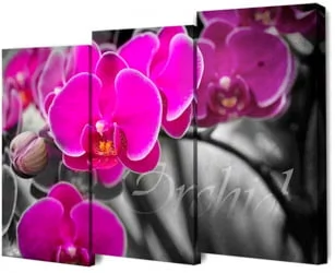 Модульная картина Toplight TL-M2073