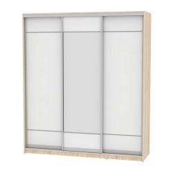 Шкаф-купе B-230х200х60-1(ДСС-Белый-D7D8D7)