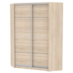 Шкаф-купе YA-198х1250-1(ДСС-D4D4)