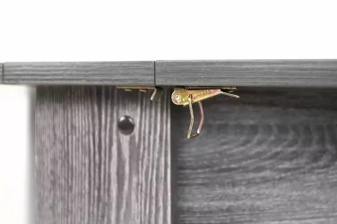 Стол-книжка раздвижной Оригами Ясень черный