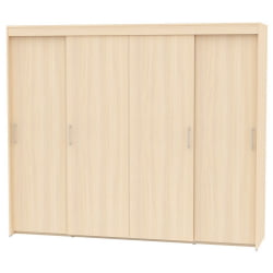 Шкаф-купе T-5-198х235х60(ДМ-2)