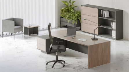 Кабинет руководителя DALI №04 Орех Антрацит