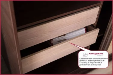 Шкаф-купе коричневый Хит-23-14-15 Ясень шимо темный