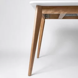 Стол обеденный Пегас Plus 160x95 Морилка Орех Морилка Дуб золотой