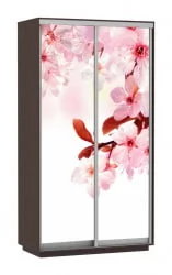 Шкаф-купе двухдверный Экспресс Дуо 1200х2400h Сакура/Венге