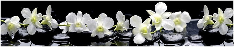 Глянцевый фартук (КОМПОЗИТ) KM 35