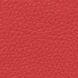 Стул СИ 49 винилкожа 6