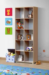 Детский шкаф для игрушек ПМ-10 Юниор-6