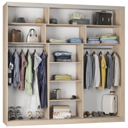 Шкаф-купе B-230х235х60-1(ЯАС-D8D8D8)