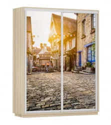 Шкаф-купе двухдверный Экспресс Дуо 1600х2400h Улица/Ясень шимо светлый